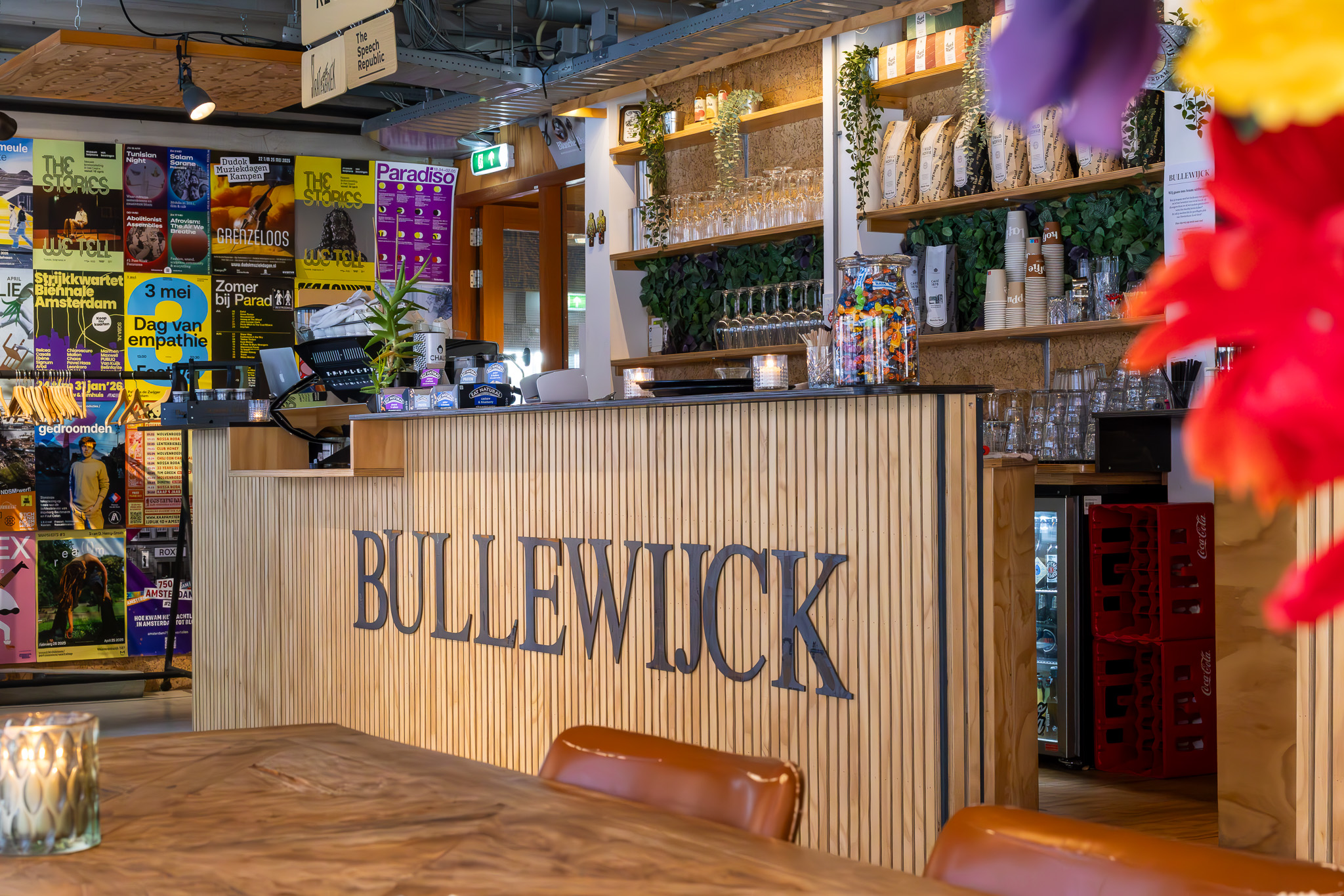 IMG_8555-Enhanced-NR